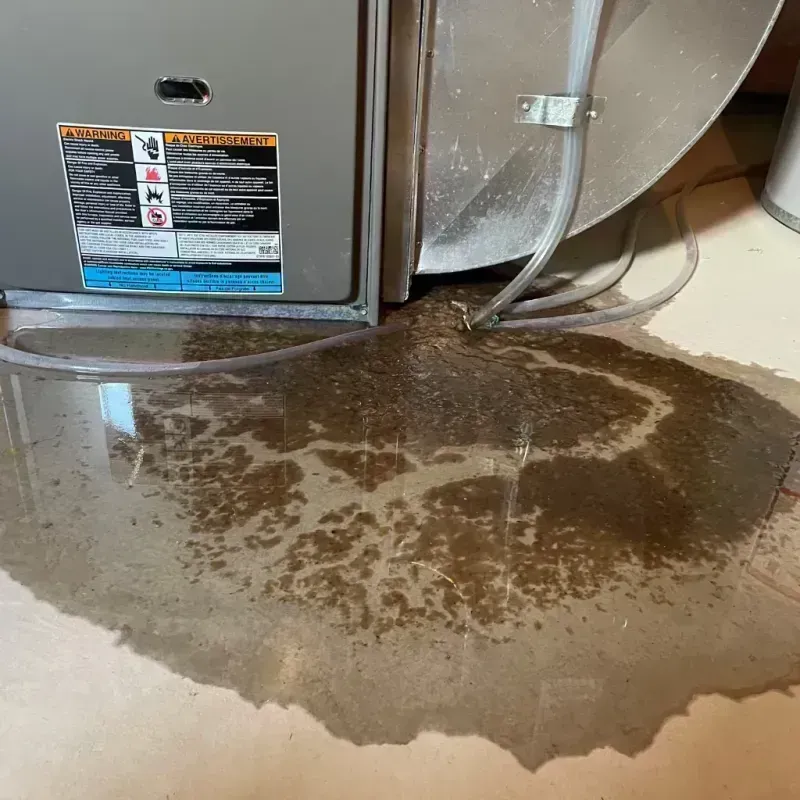 Appliance Leak Cleanup in Crisp County, GA